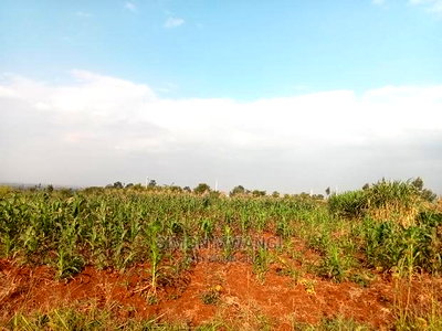 40*80 Residential Plot on Sale at Kiambu Anmer Estate at 1.6m - Image 7