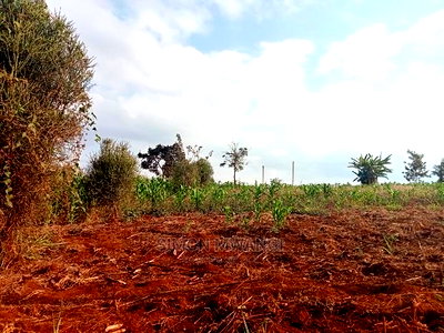 40*80 Residential Plot on Sale at Kiambu Anmer Estate at 1.6m - Image 3