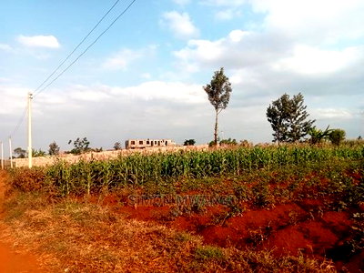 40*80 Residential Plot on Sale at Kiambu Anmer Estate at 1.6m - Image 4