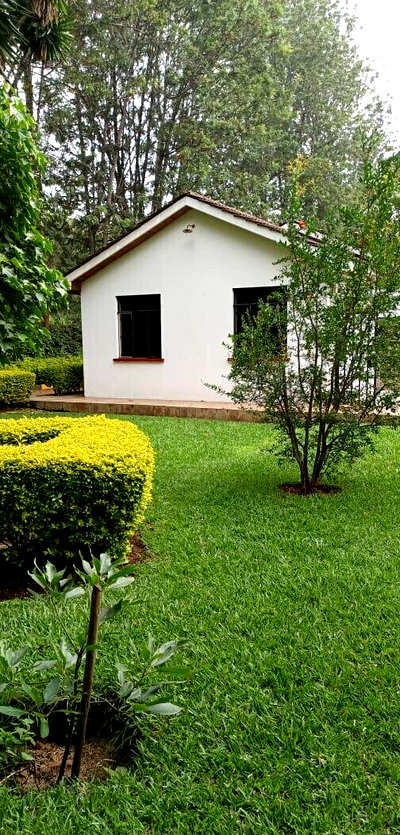Cozy 1BR Garden Home at KSh 50K