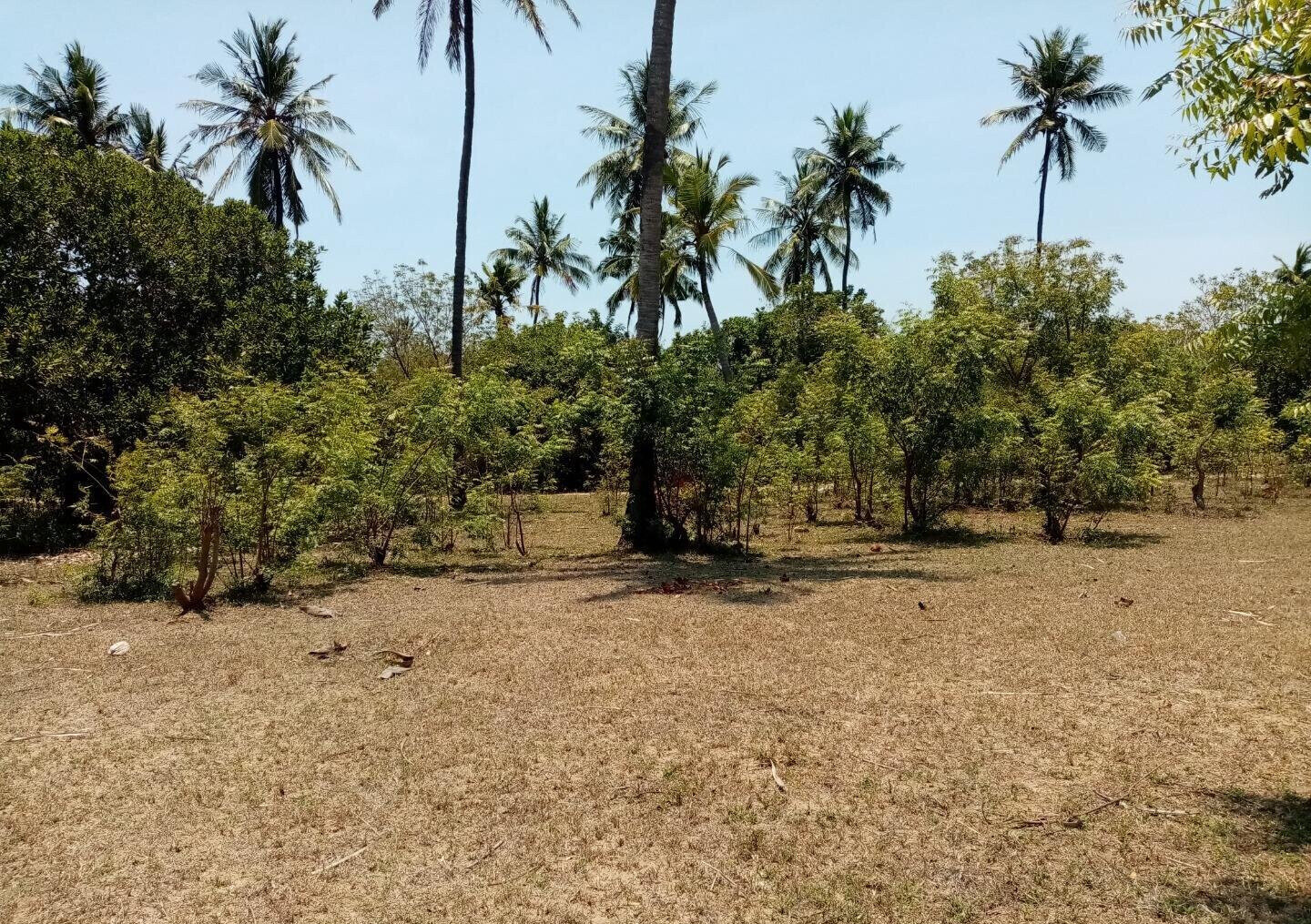 1-Acre Plot at KSh 12M in Watamu