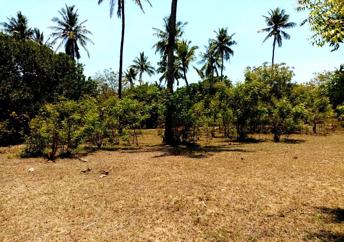 1-Acre Plot at KSh 12M in Watamu