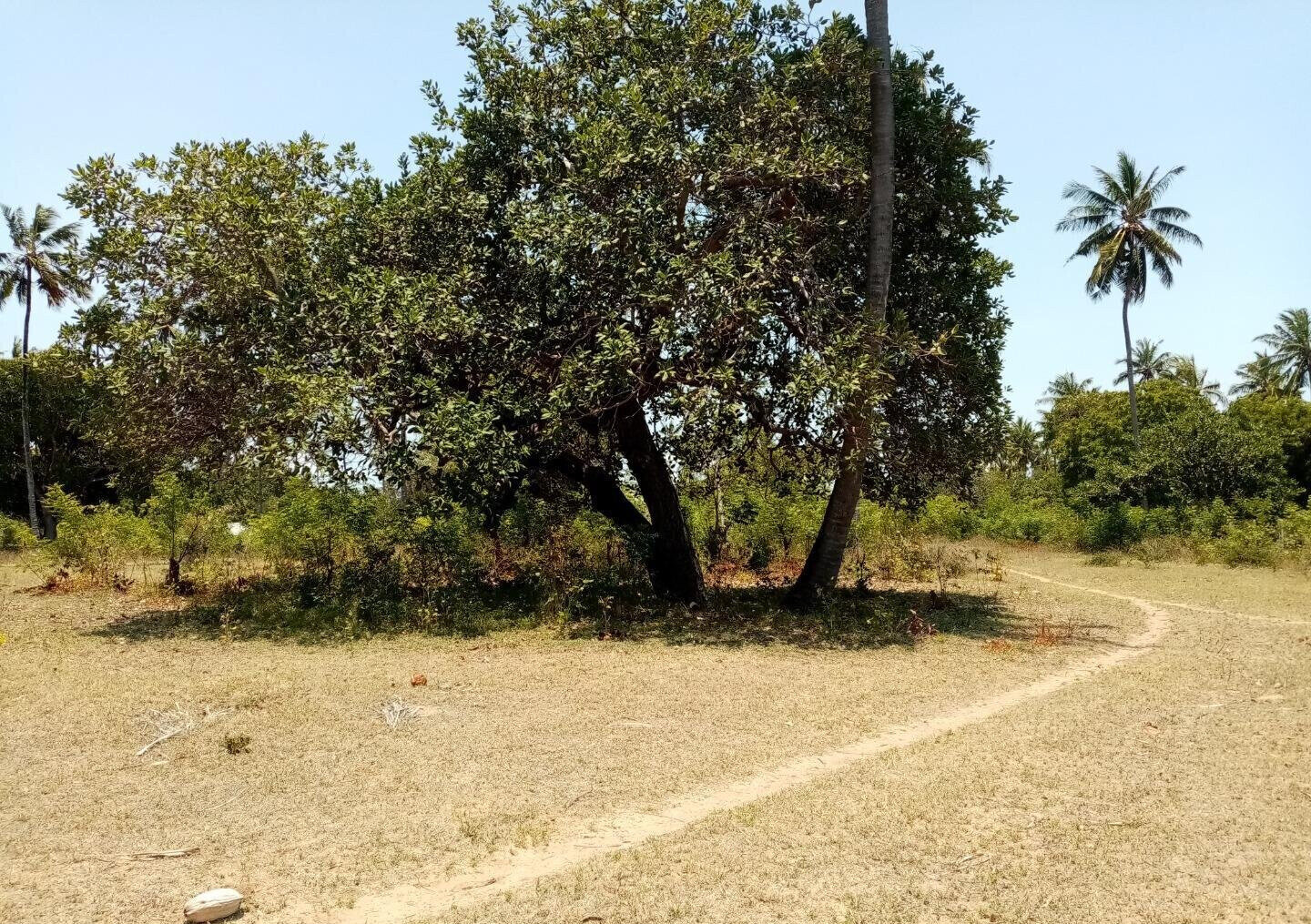 1-Acre Plot at KSh 12M in Watamu
