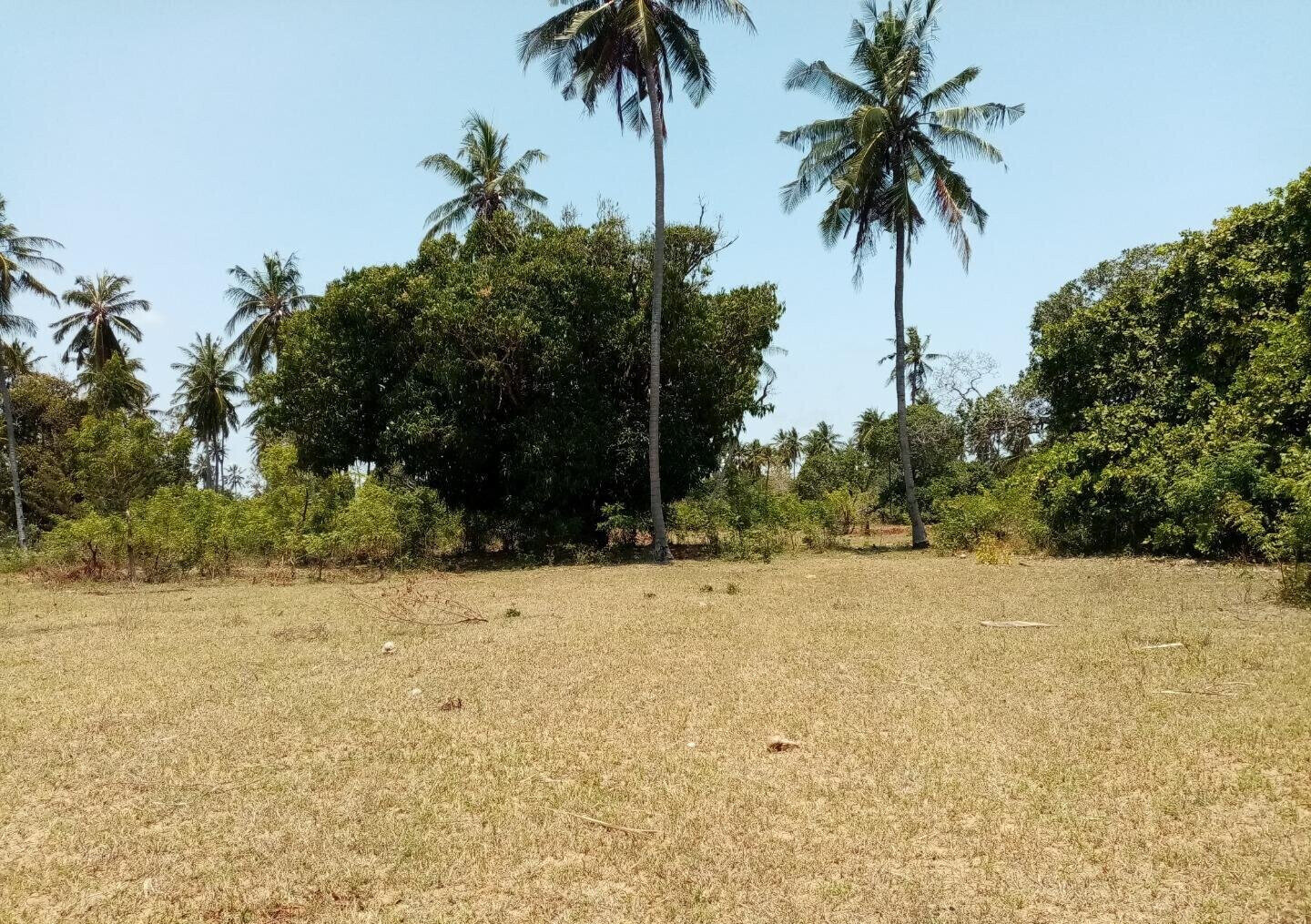 1-Acre Plot at KSh 12M in Watamu