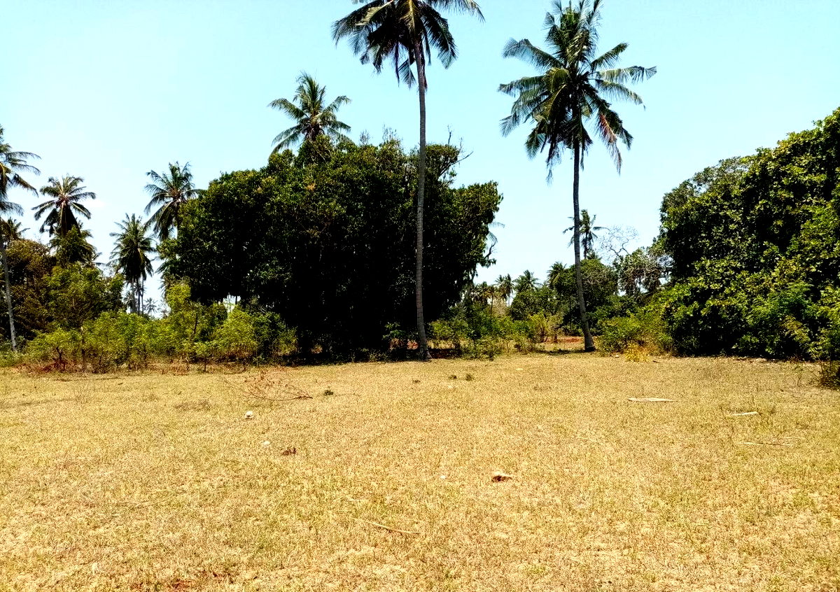 1-Acre Plot at KSh 12M in Watamu