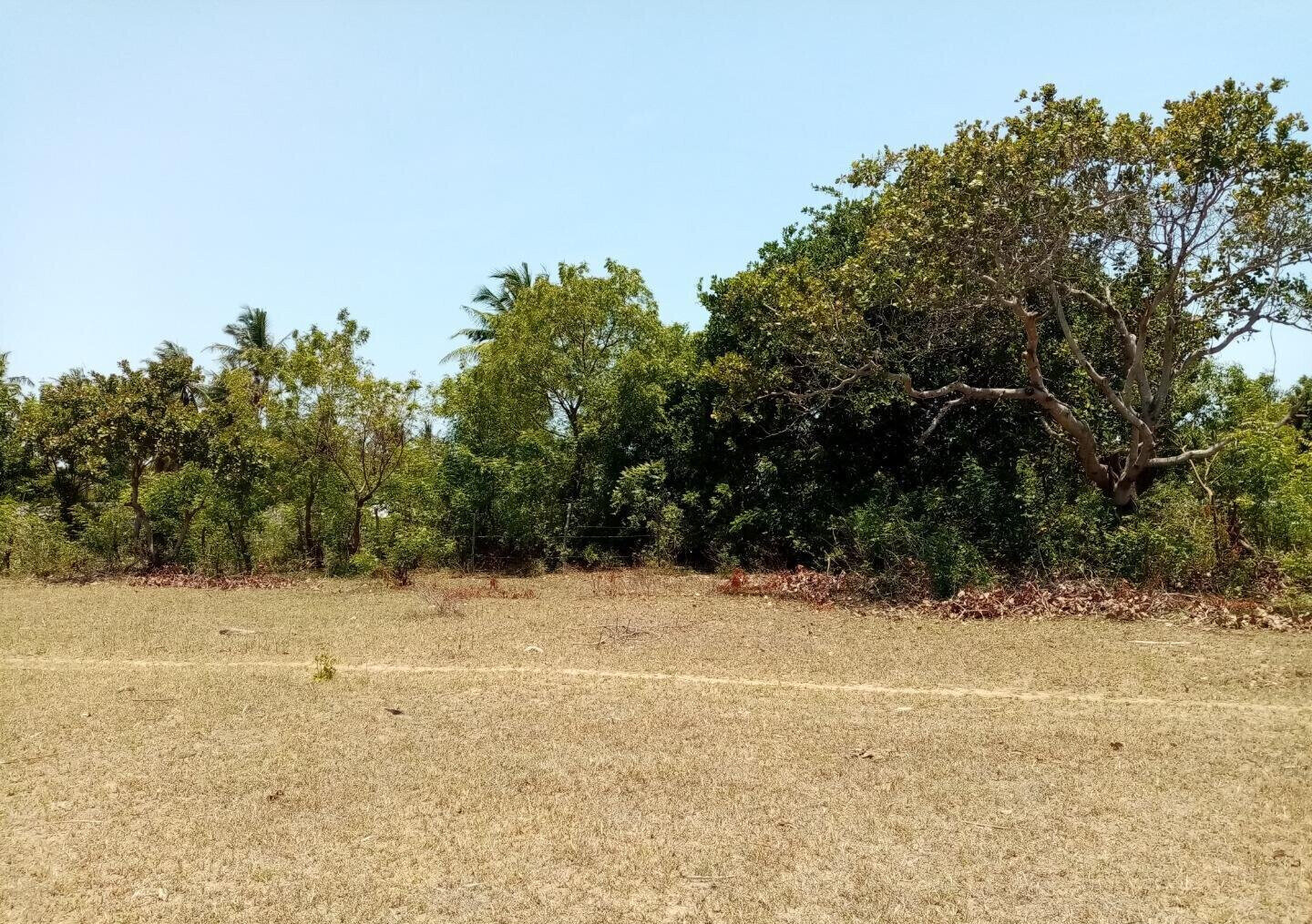 1-Acre Plot at KSh 12M in Watamu