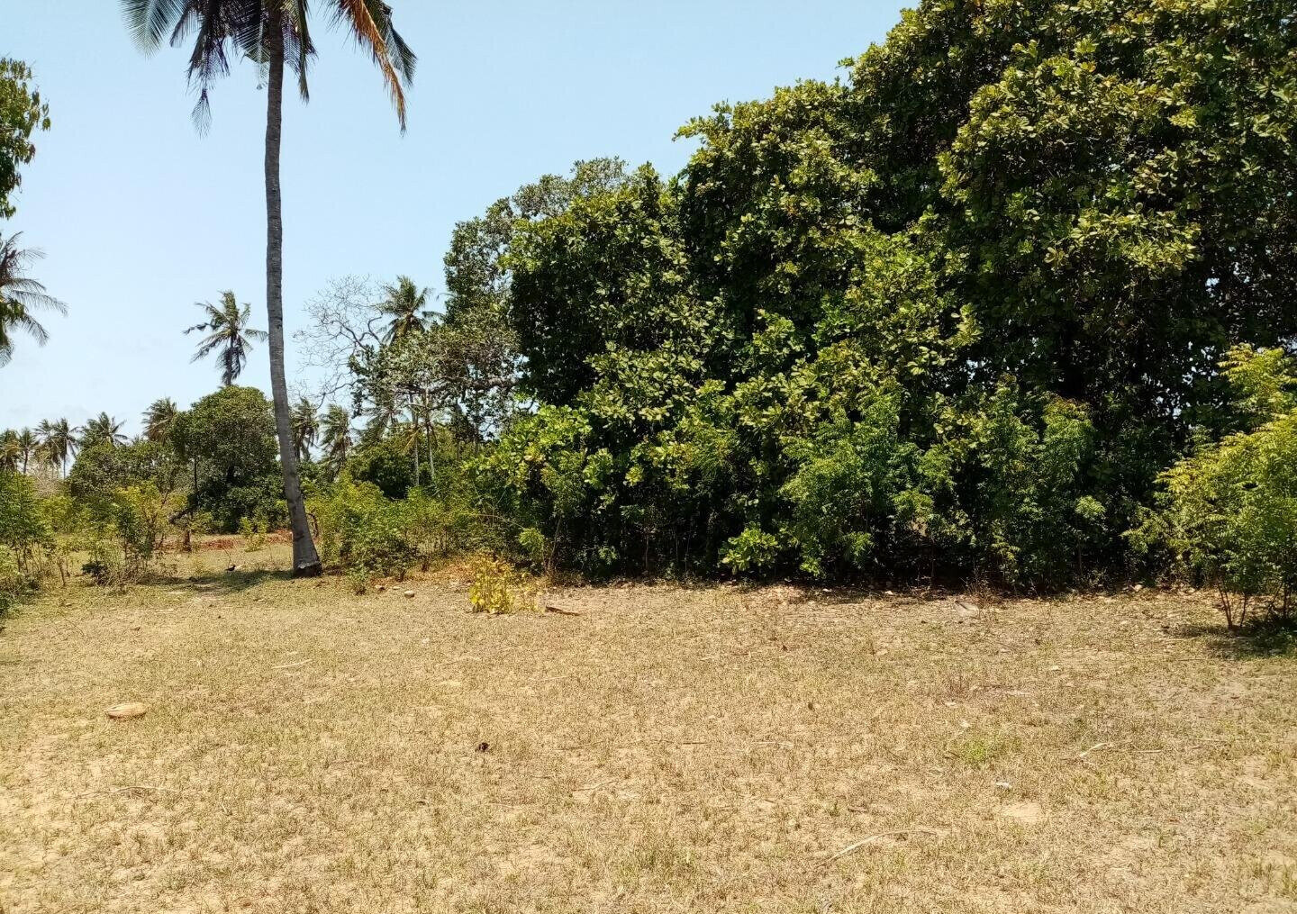 1-Acre Plot at KSh 12M in Watamu