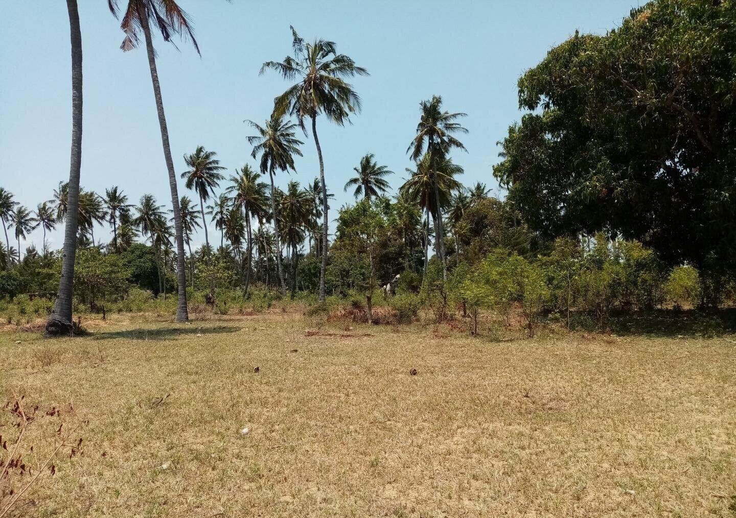 1-Acre Plot at KSh 12M in Watamu
