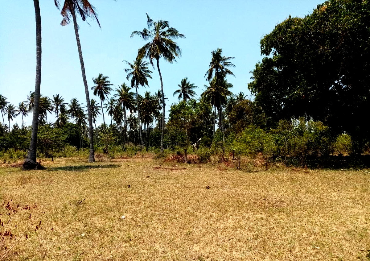 1-Acre Plot at KSh 12M in Watamu