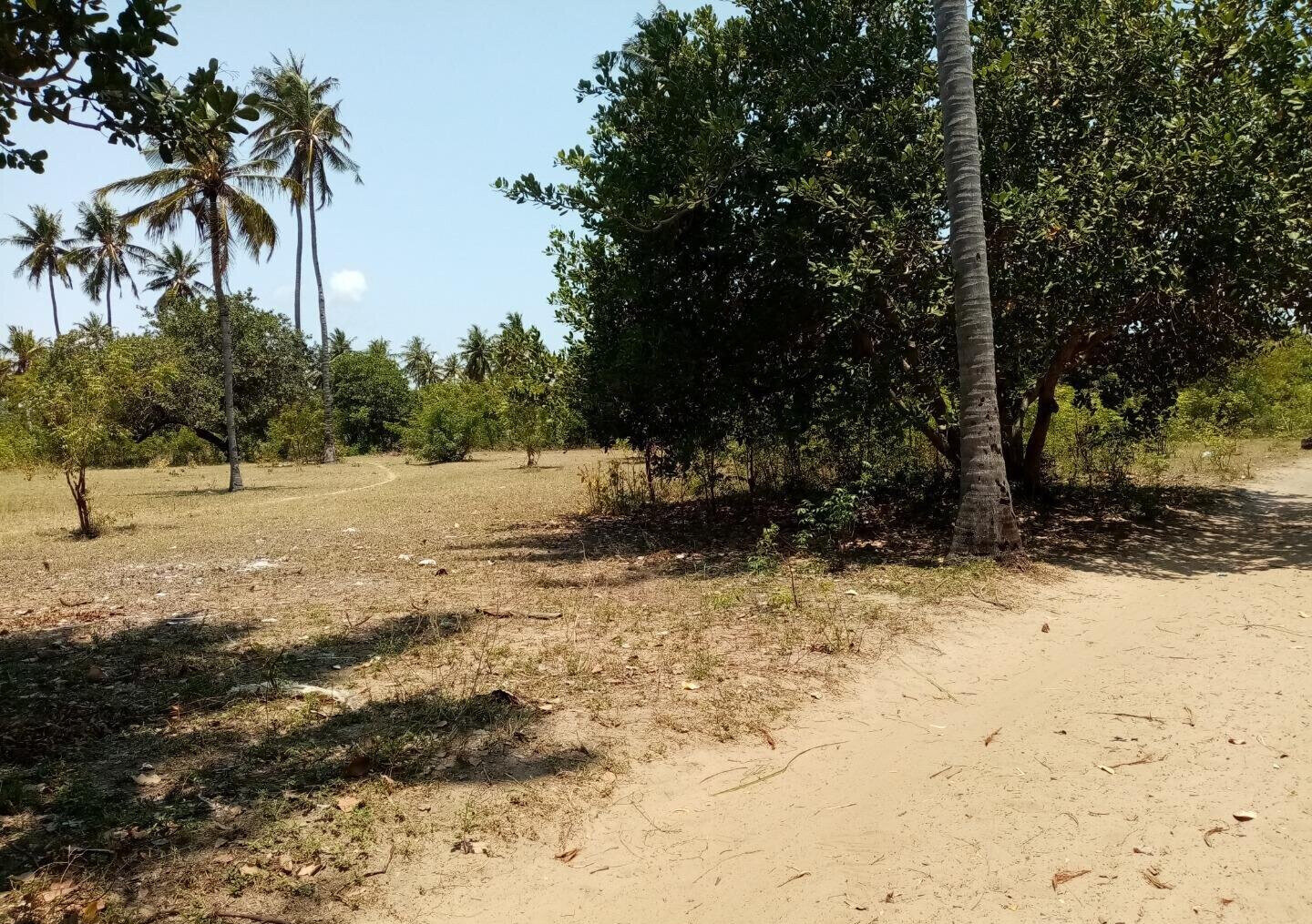 1-Acre Plot at KSh 12M in Watamu