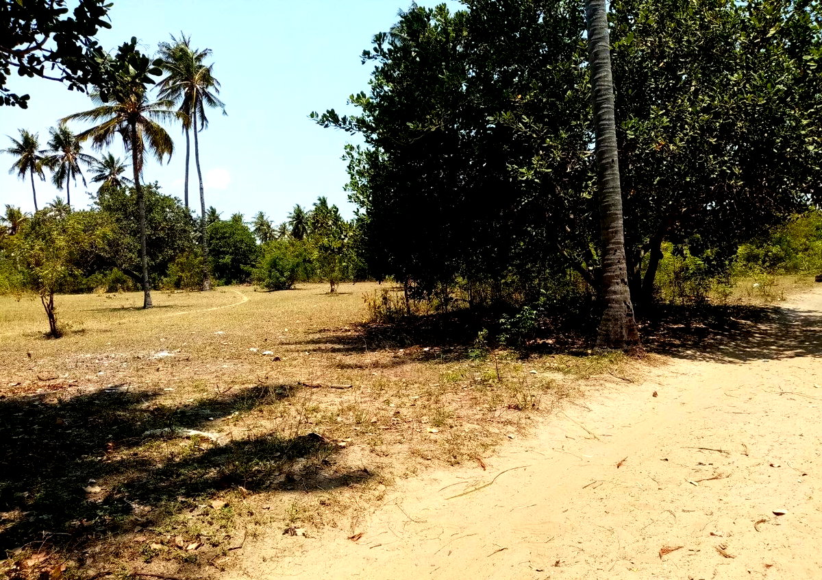 1-Acre Plot at KSh 12M in Watamu
