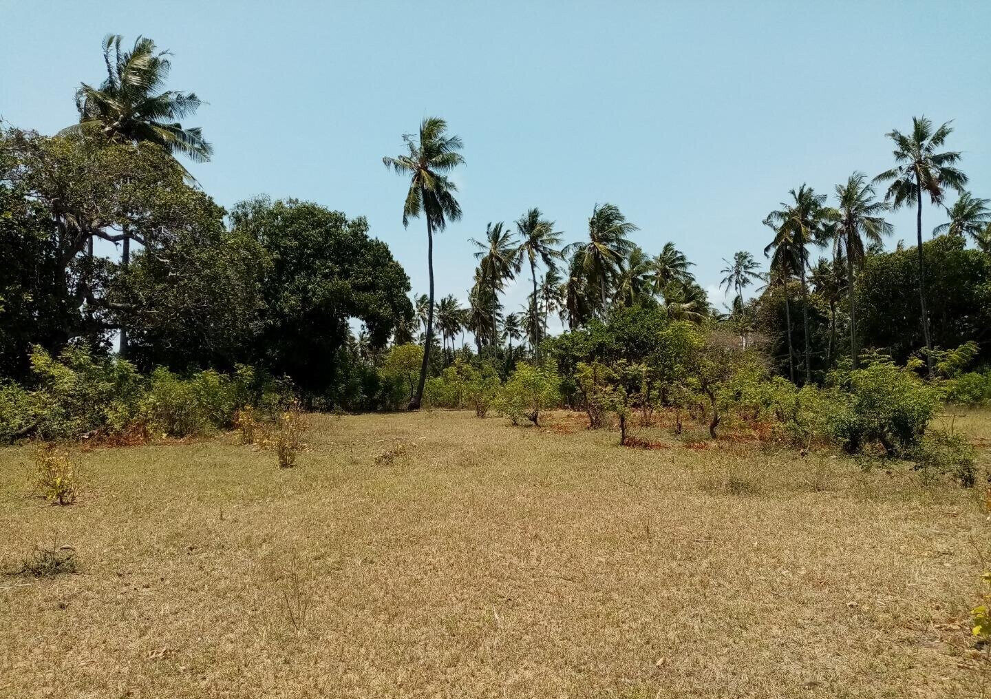 1-Acre Plot at KSh 12M in Watamu