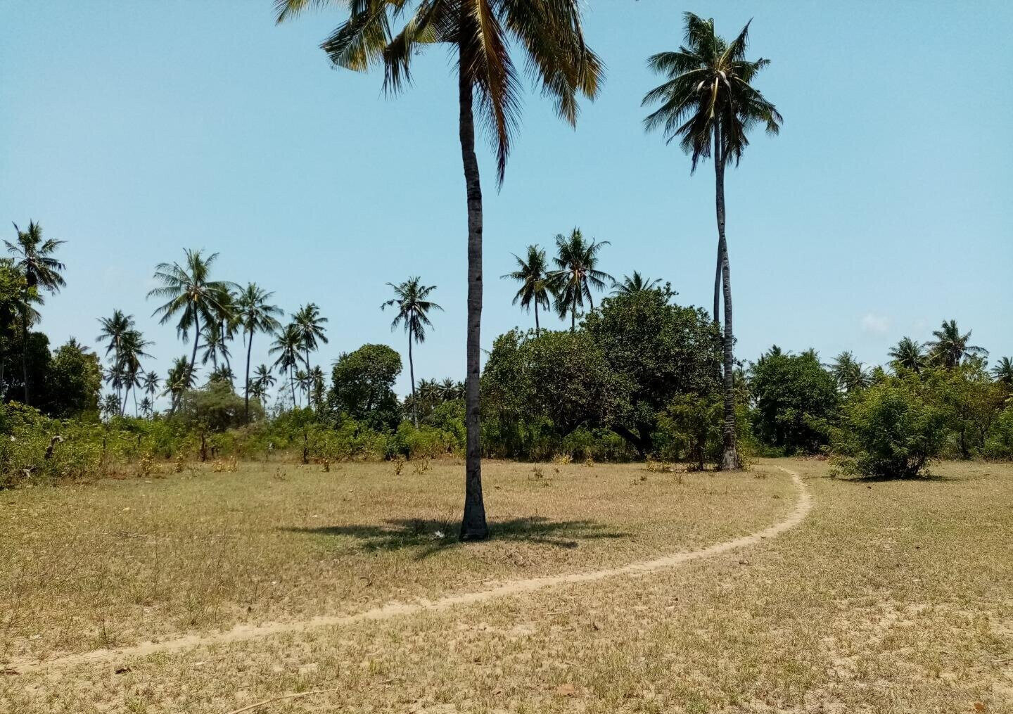1-Acre Plot at KSh 12M in Watamu
