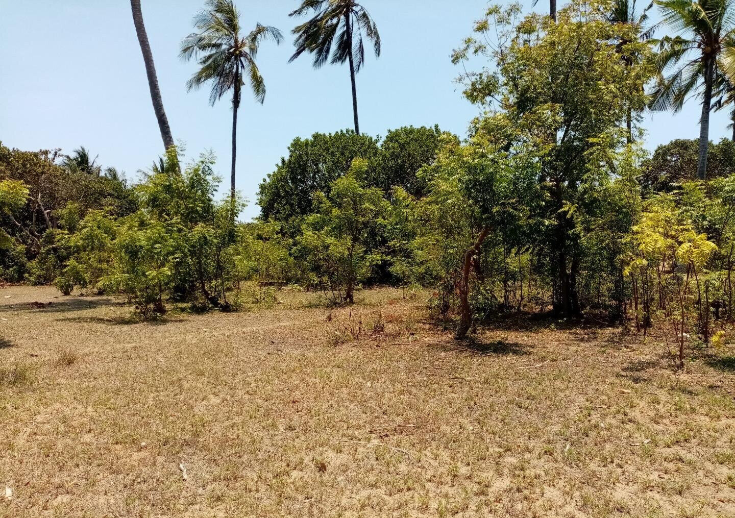 1-Acre Plot at KSh 12M in Watamu