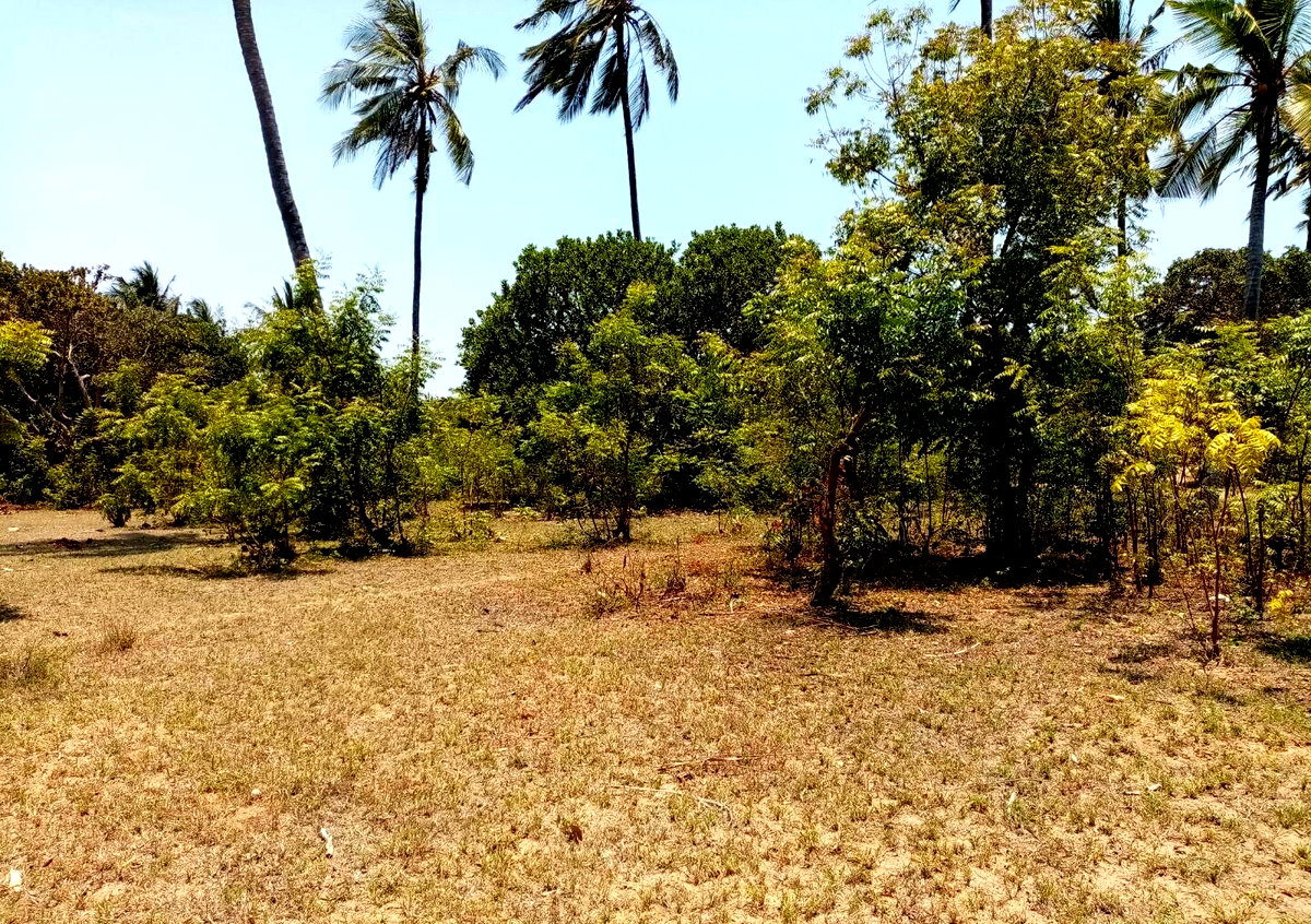 1-Acre Plot at KSh 12M in Watamu