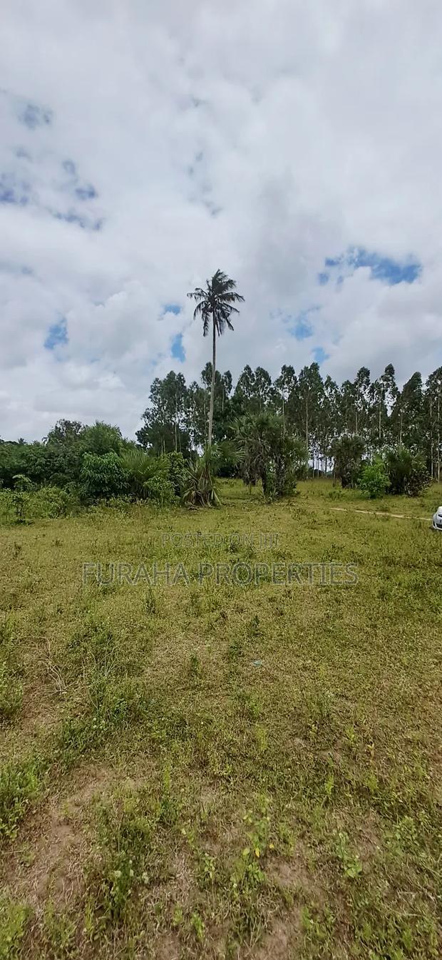 For Sale 2 Acres Agricultural Land Kalolen