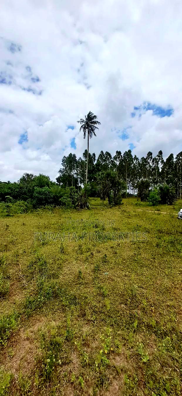 For Sale 2 Acres Agricultural Land Kalolen