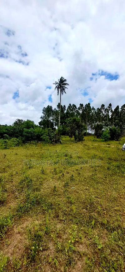 For Sale 2 Acres Agricultural Land Kalolen - Image 2