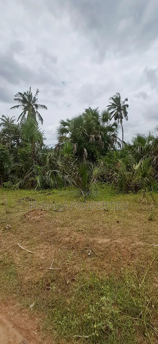 For Sale 2 Acres Agricultural Land Kalolen