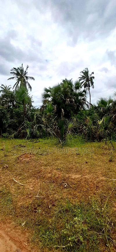 For Sale 2 Acres Agricultural Land Kalolen - Image 5