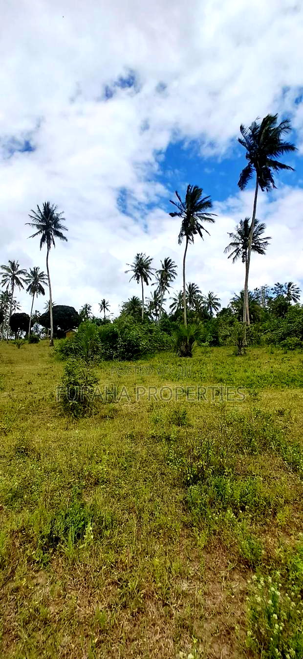 For Sale 2 Acres Agricultural Land Kalolen