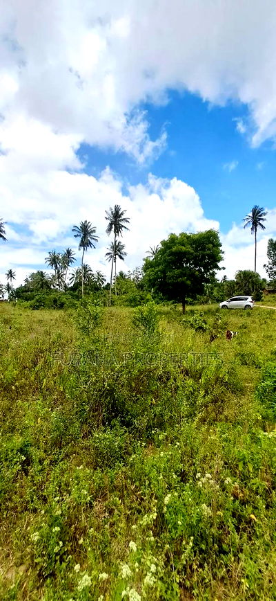 For Sale 2 Acres Agricultural Land Kalolen - Image 7