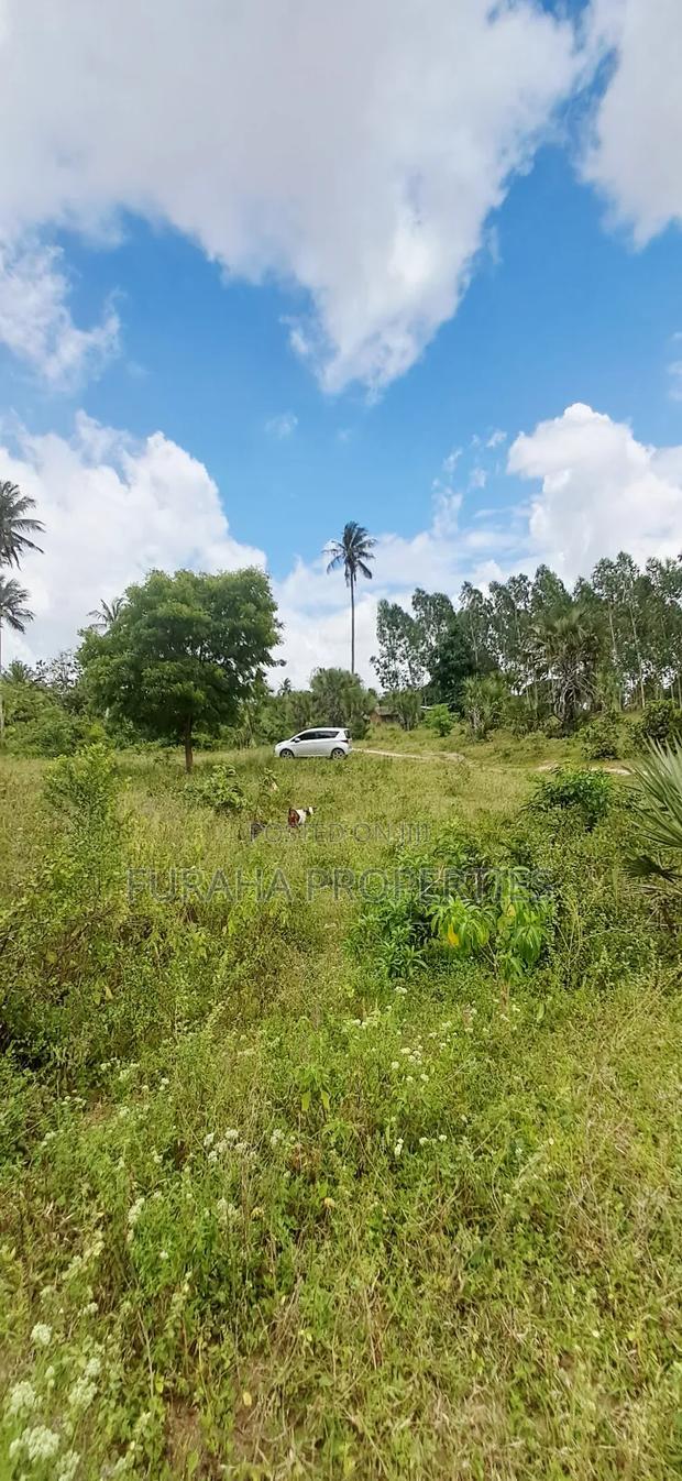 For Sale 2 Acres Agricultural Land Kalolen