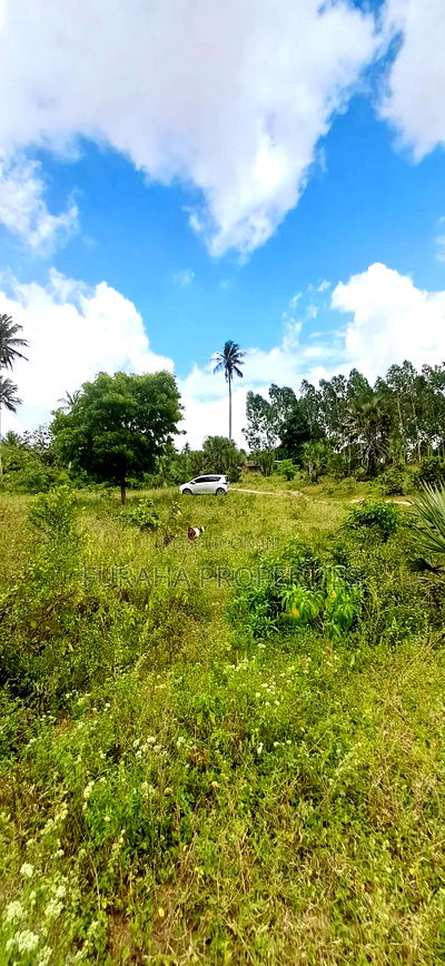 For Sale 2 Acres Agricultural Land Kalolen - Image 6