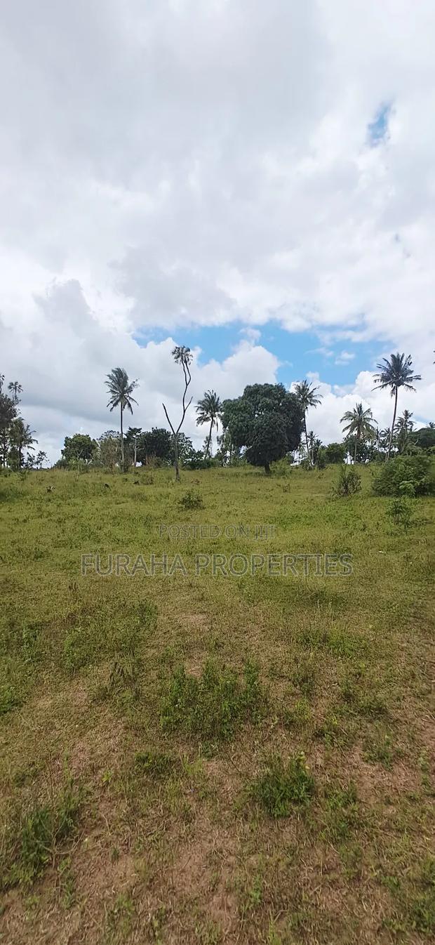 For Sale 2 Acres Agricultural Land Kalolen