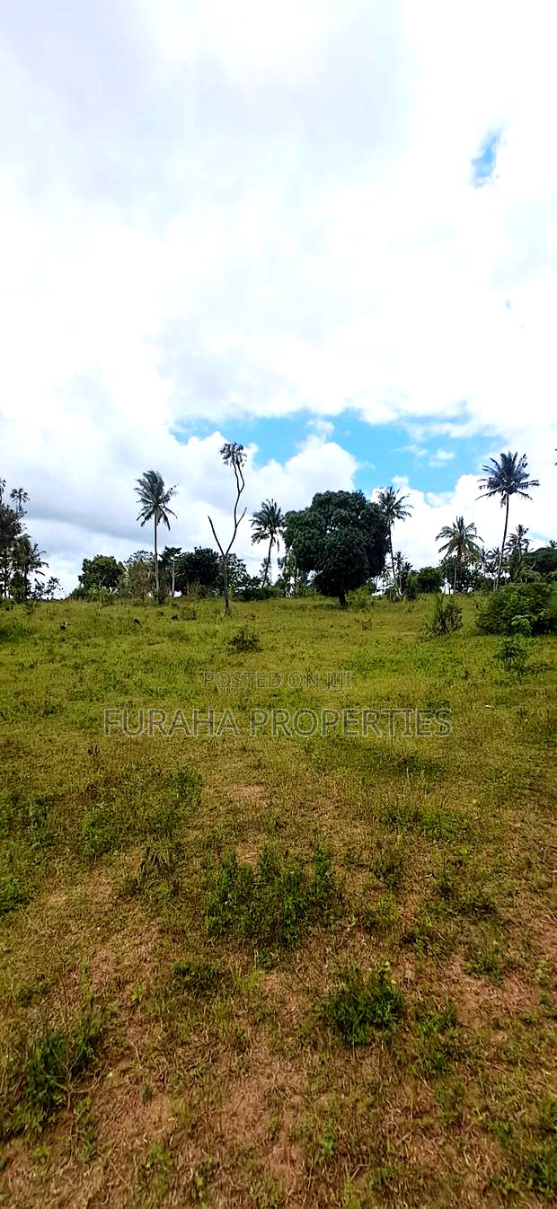 For Sale 2 Acres Agricultural Land Kalolen