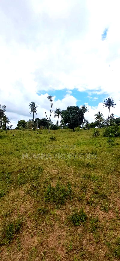 For Sale 2 Acres Agricultural Land Kalolen - Image 4