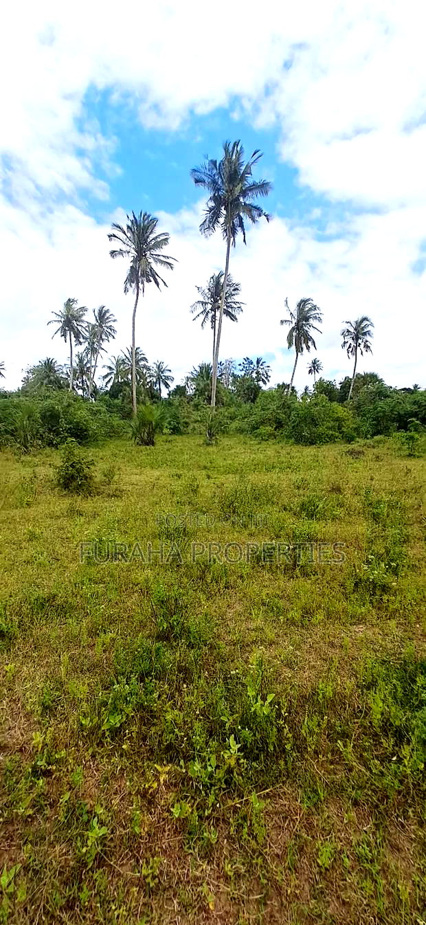 For Sale 2 Acres Agricultural Land Kalolen