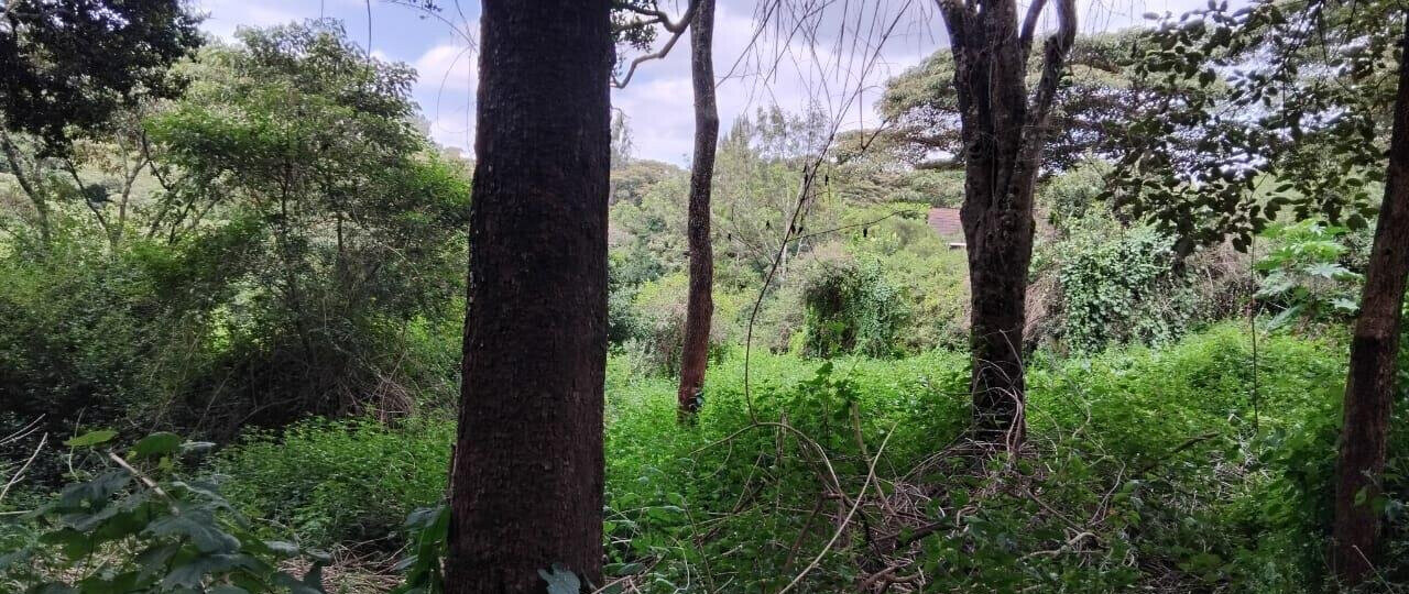 2-Acre Plot with Garden & Parking at KSh 75M