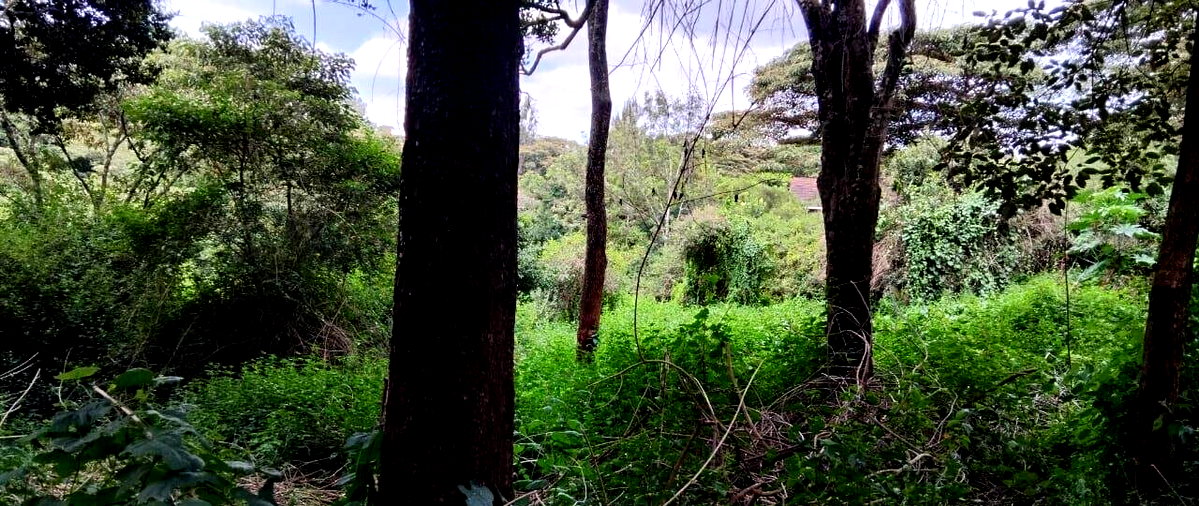 2-Acre Plot with Garden & Parking at KSh 75M