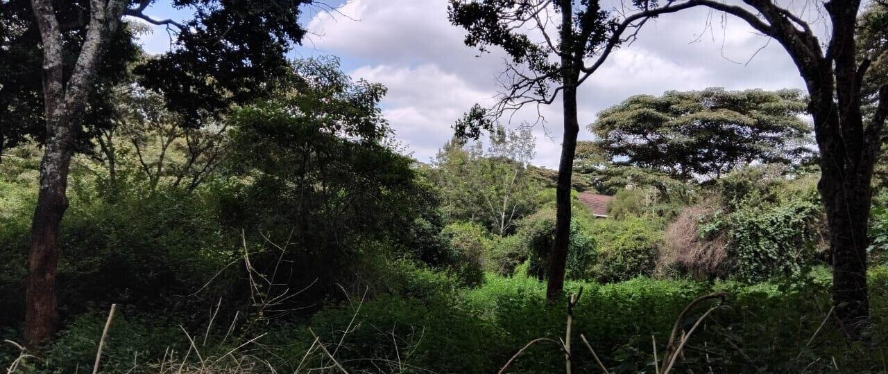 2-Acre Plot with Garden & Parking at KSh 75M