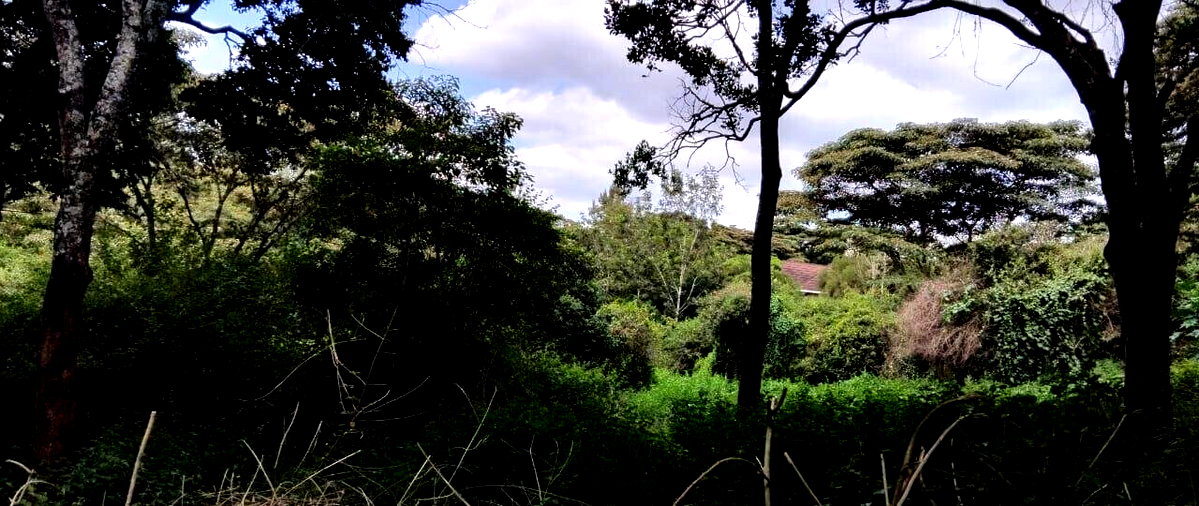2-Acre Plot with Garden & Parking at KSh 75M