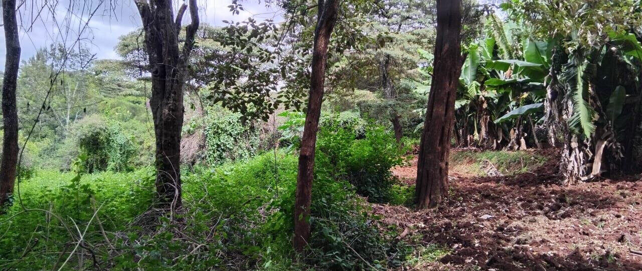 2-Acre Plot with Garden & Parking at KSh 75M