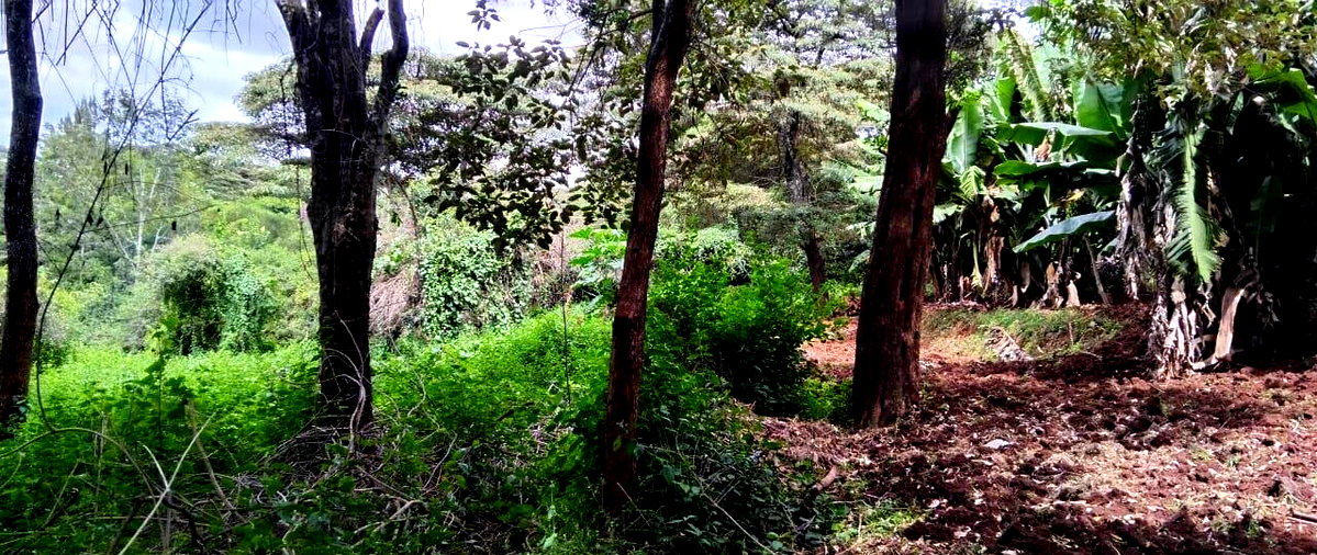2-Acre Plot with Garden & Parking at KSh 75M