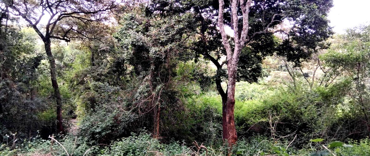 2-Acre Plot with Garden & Parking at KSh 75M
