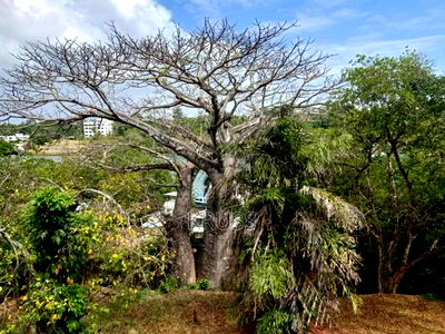 1/4 Acre With Ocean Access for Sale in Shanzu Ls145 - Image 6