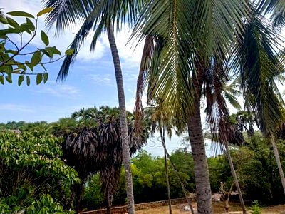 1/4 Acre With Ocean Access for Sale in Shanzu Ls145 - Image 4