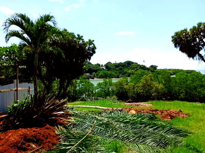 1/4 Acre With Ocean Access for Sale in Shanzu Ls145 - Image 5