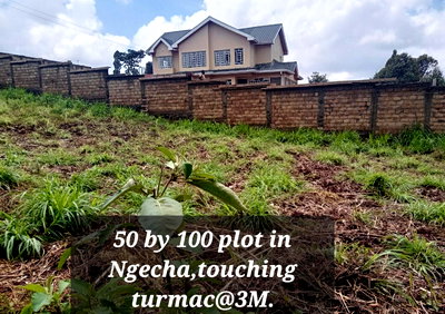 Garden Plot with Parking for KSh 3M