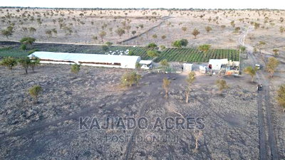 7 Acre and 10 Acres Inkinye - Image 4