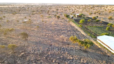 7 Acre and 10 Acres Inkinye - Image 2
