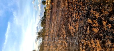 7 Acre and 10 Acres Inkinye - Image 12