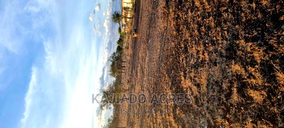 7 Acre and 10 Acres Inkinye - Image 9
