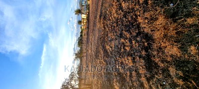 7 Acre and 10 Acres Inkinye - Image 6