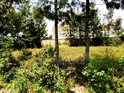 1/8 Acre Matasia-Ngong - Image 6