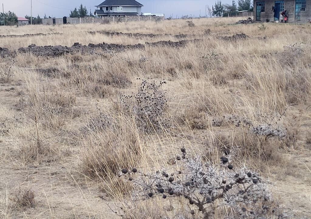Half Acre Plot in Joska for KSh 4M